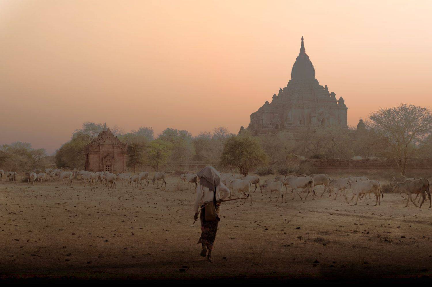 , Максимушкина Ольга