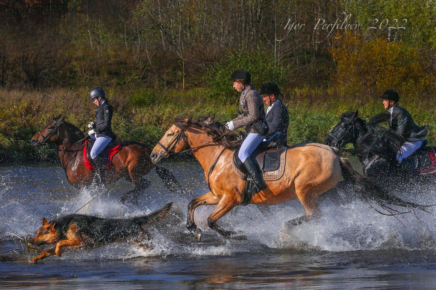, игорь перфильев