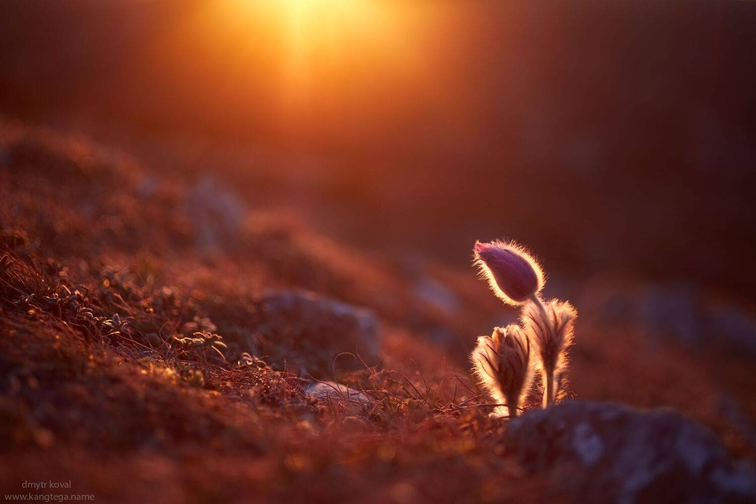 дмитр коваль, гималаи и крым вне треков, пейзаж как магия, Коваль Дмитр