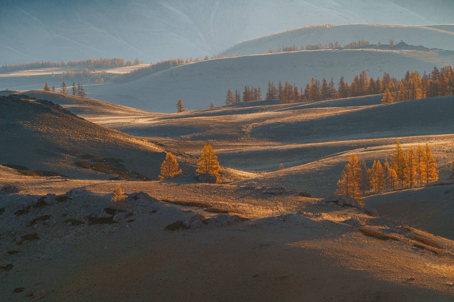 , Лариса Николаевна Дука