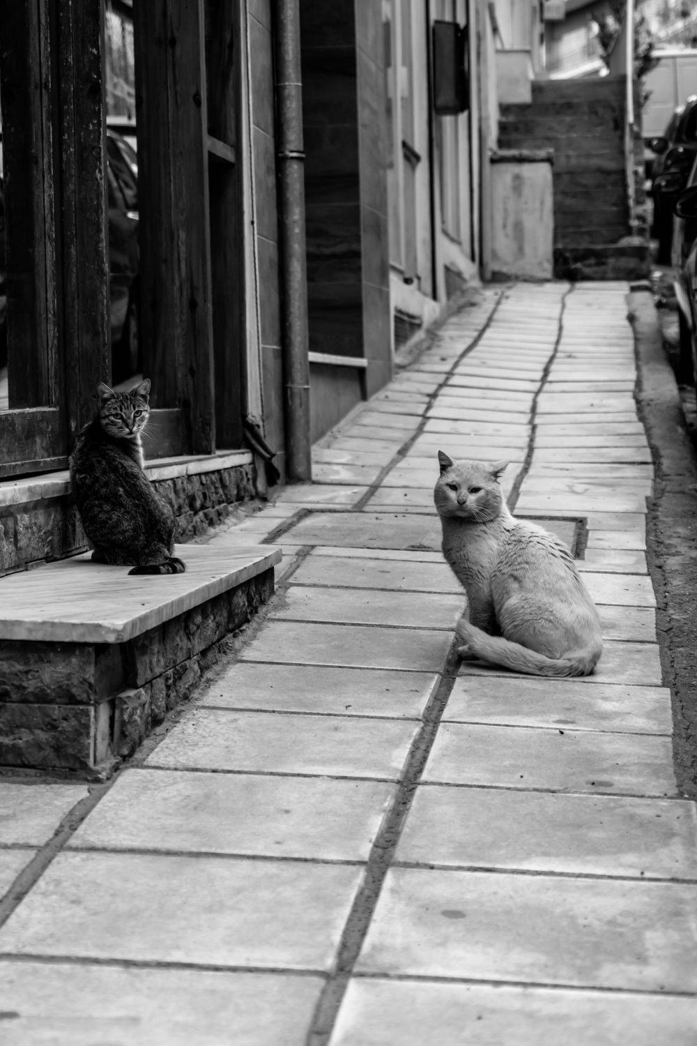 , Шилов Александр