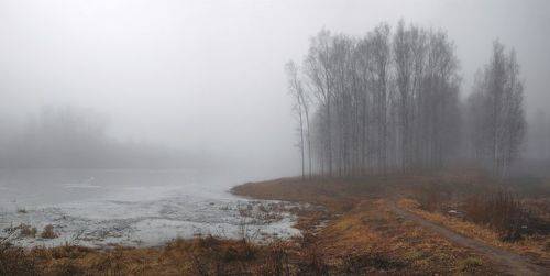 Ранняя весна на пруду.