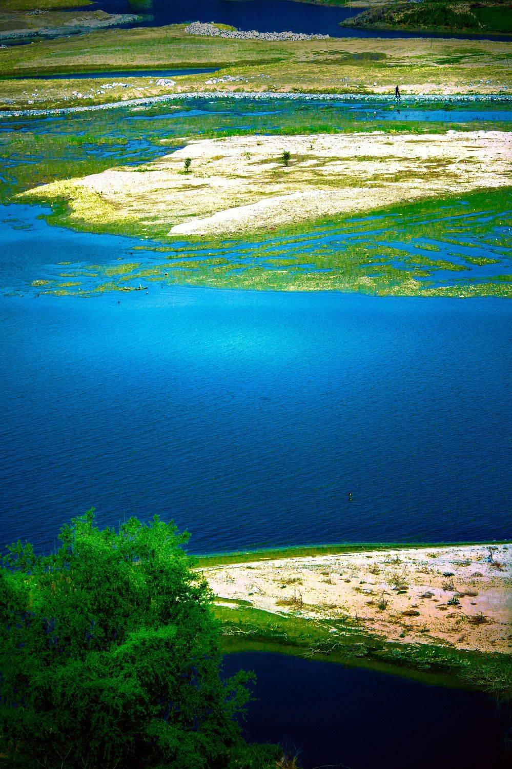 浐灞湿地, 吴 微雨墨烟鸿