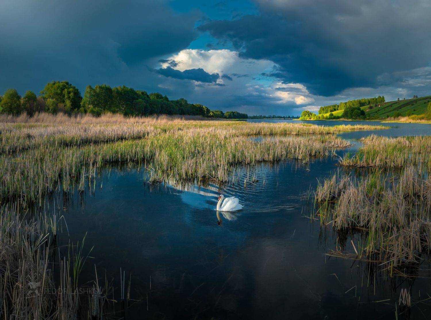 белгородская область, гроза, май, весна, облака, тучи, пруд, озеро, водоём, берег, синий, зелёный, майский, лебедь, птица,, Лашков Фёдор