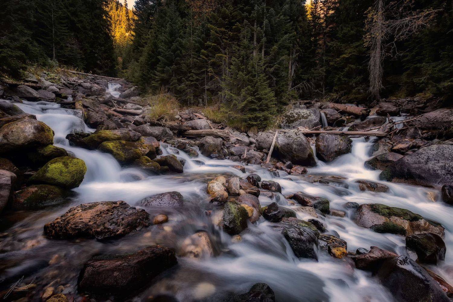 , Юрий Головченко