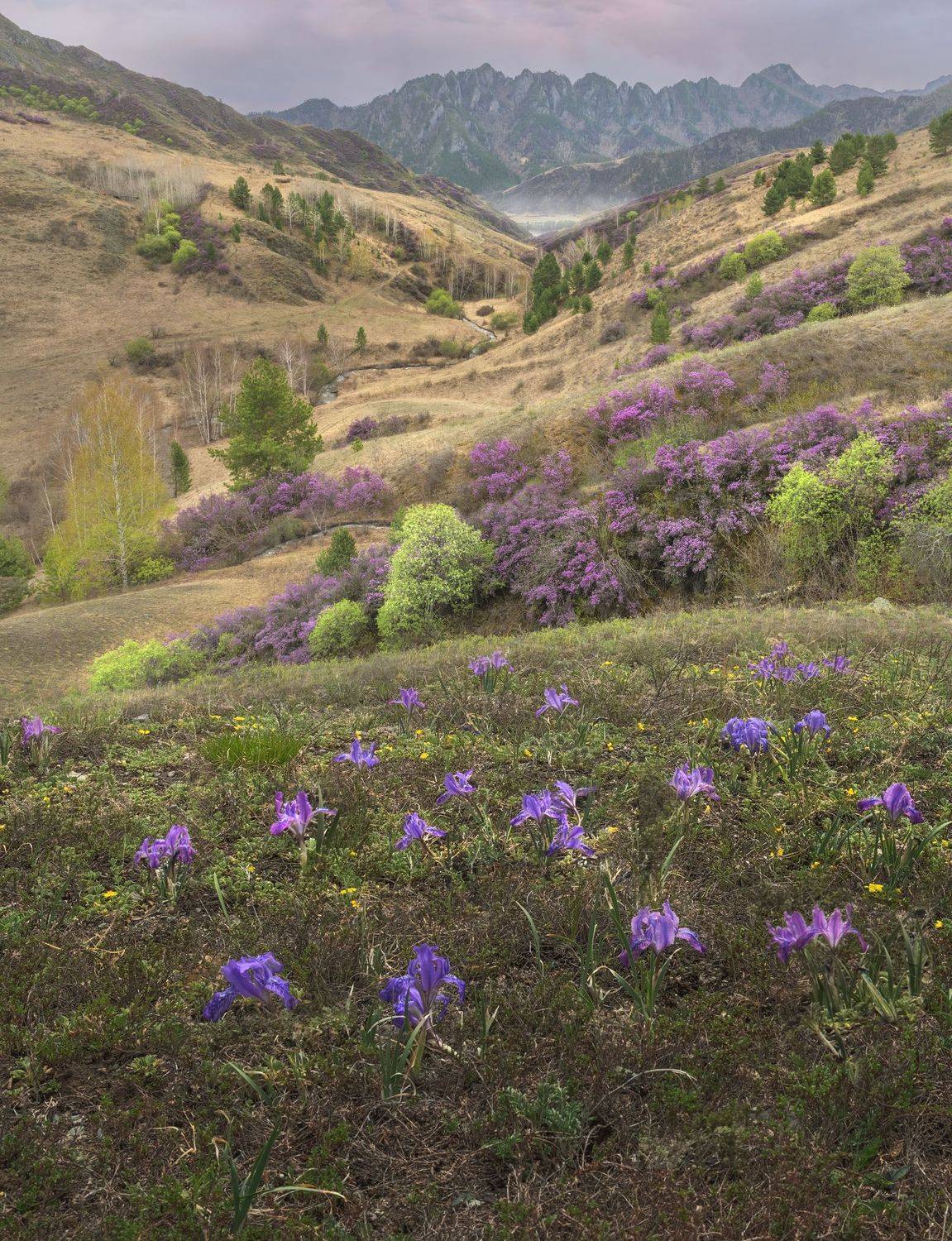 Фототуры с Владимиром Рябковым, #topnature #russpasibo #magic_shots #lovelyRussia #sunset_vision #exclusive_sky  #exclusive_shots #loves_russia2 #photoarena_nature #nature_sultans #nature_perfection #rsa_sky #rsa_sunset #photorussia #rsa_naturepics #sunse, Владимир Рябков