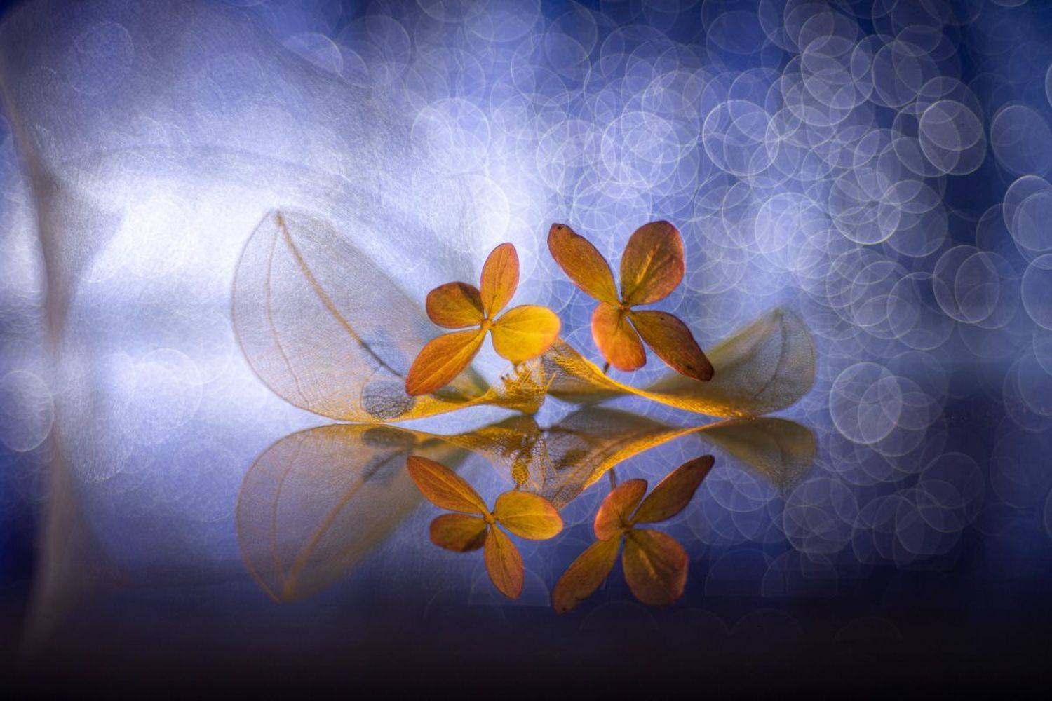 close-up, Игорь Копцев