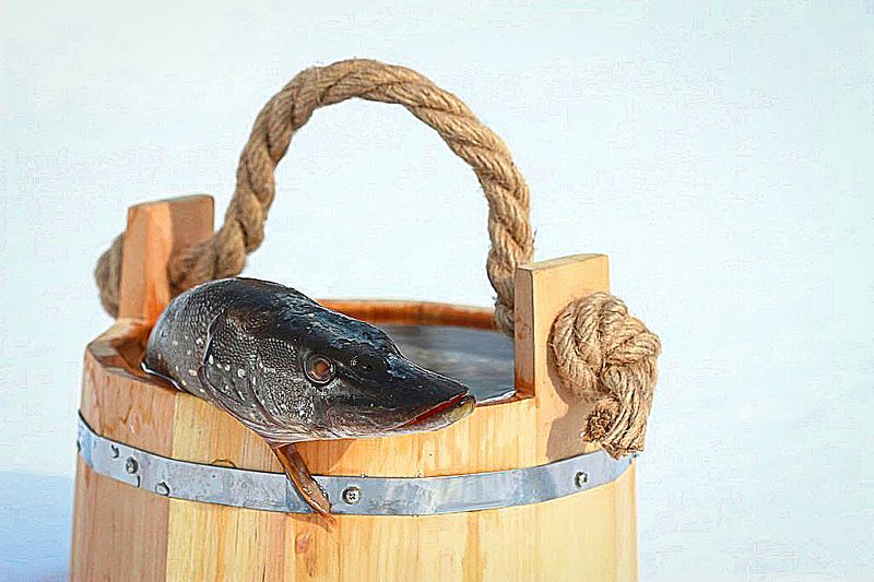 Не будь дураком!... С 1 апреля, друзья! фото превью