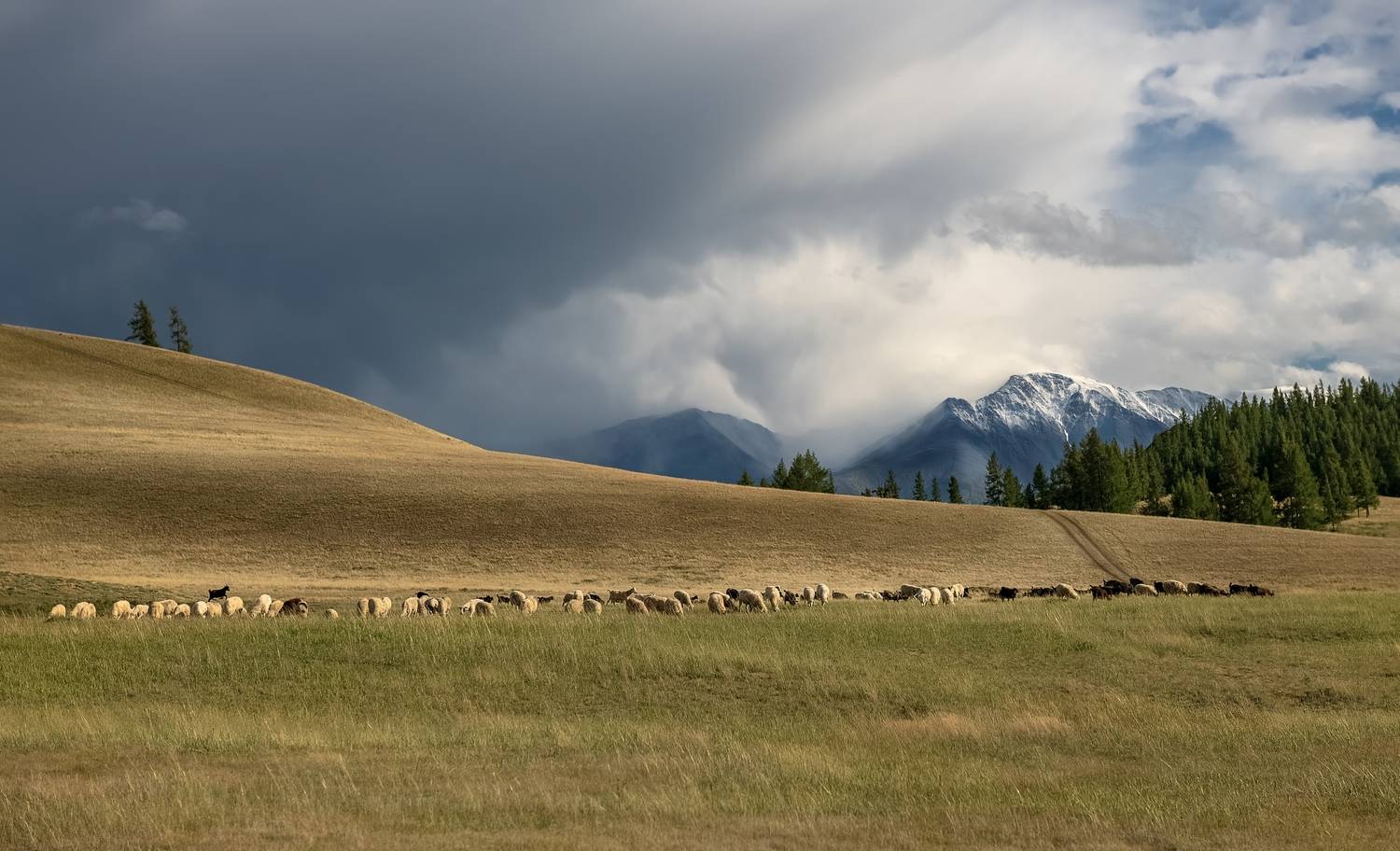 республика алтай, непогода, солнечная дорожка, лето, Фомина Марина