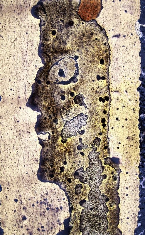 pareidolia Засланец из космоса ) фото превью