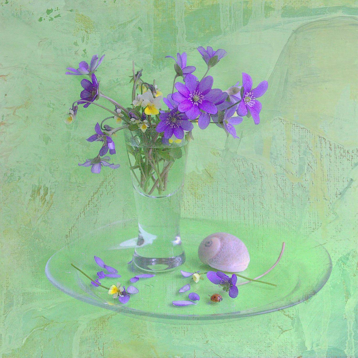 , Хохлова Наталья