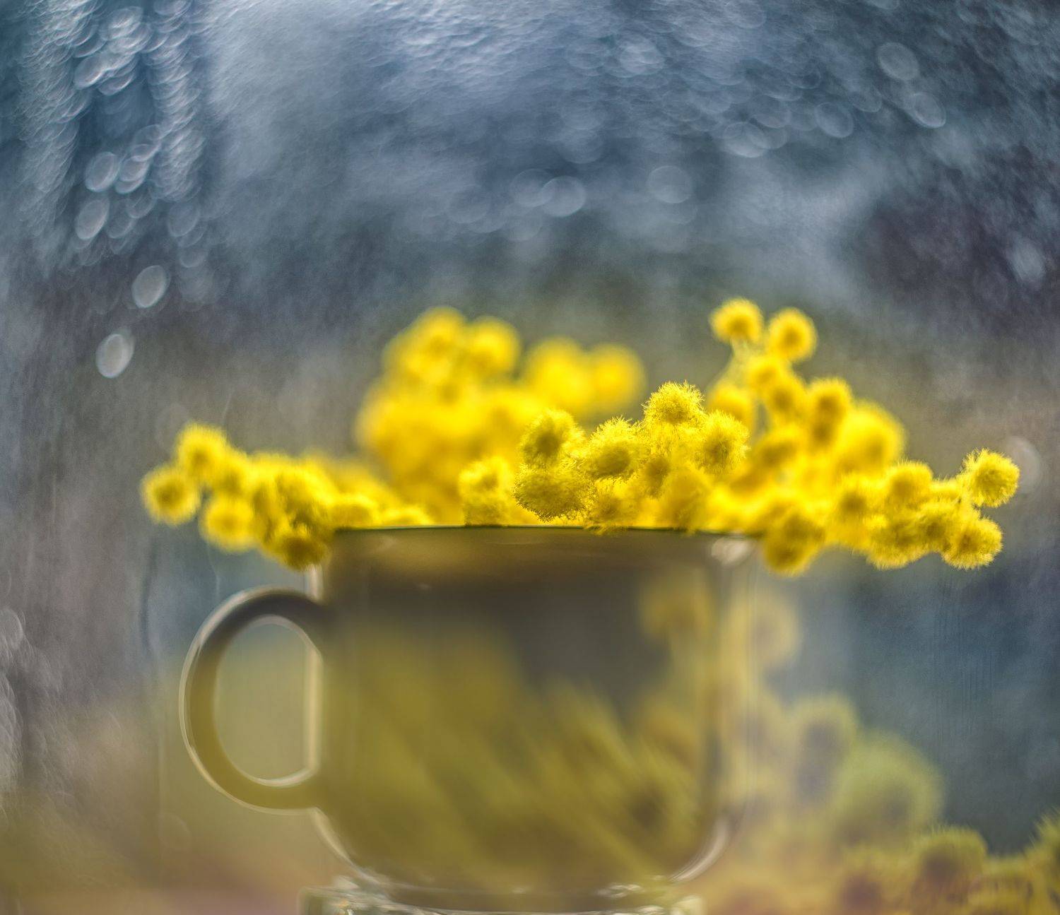 , Сигидова Ирина