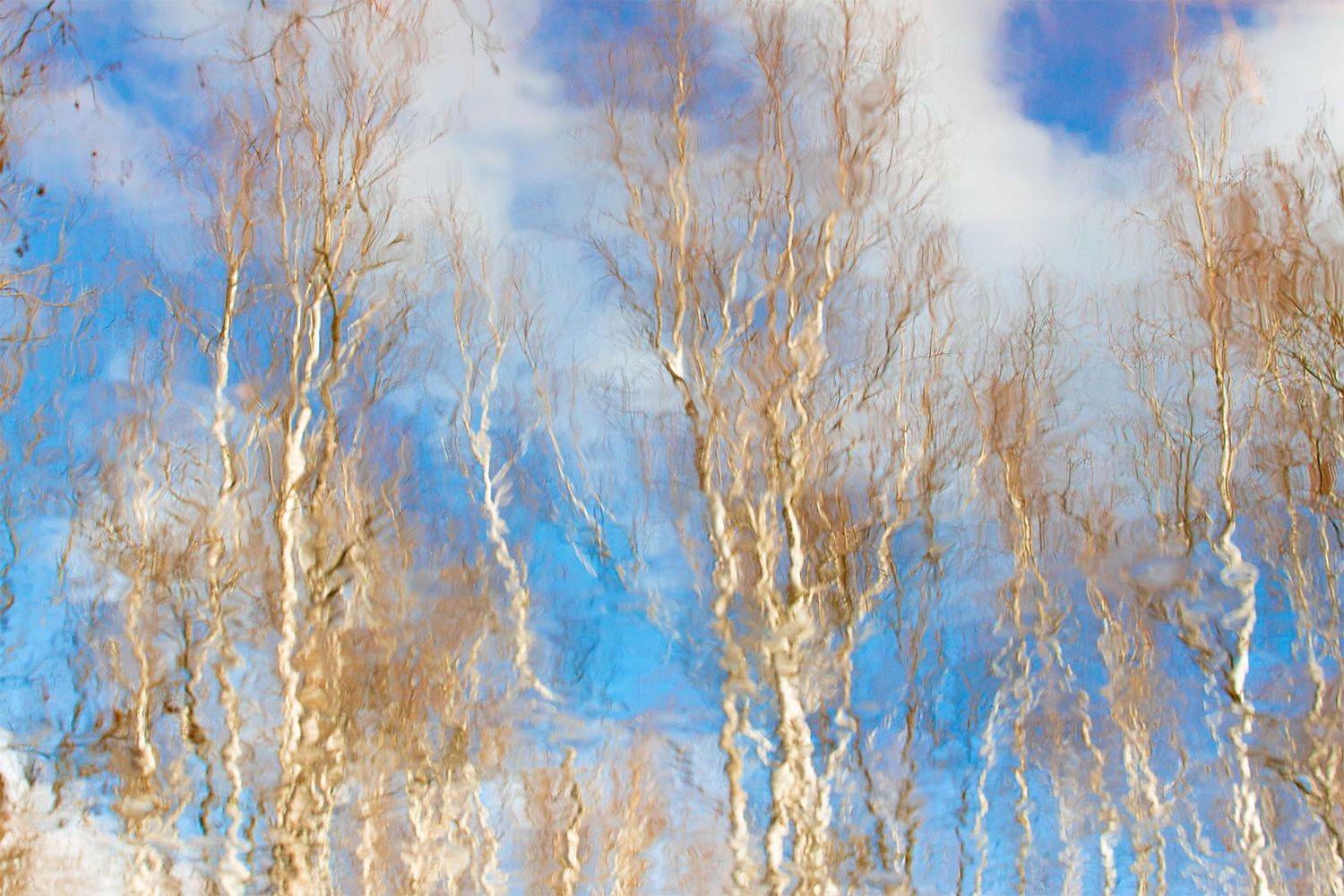 , Чудинин Дмитрий