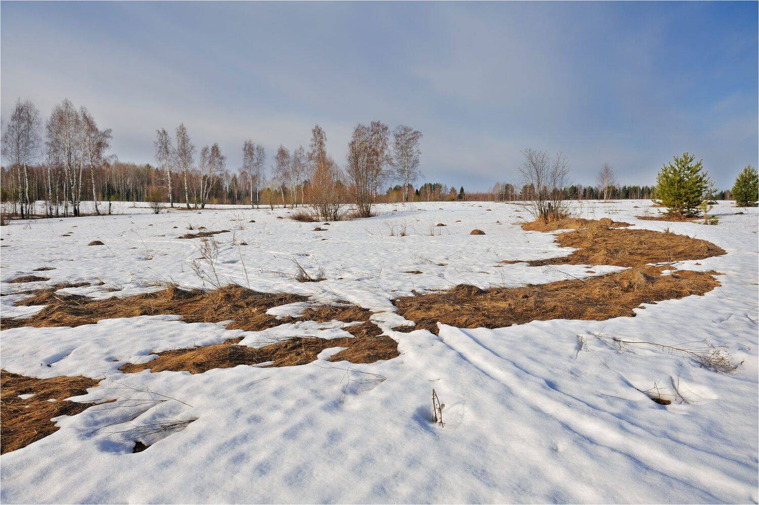 , Анатолий Гулин