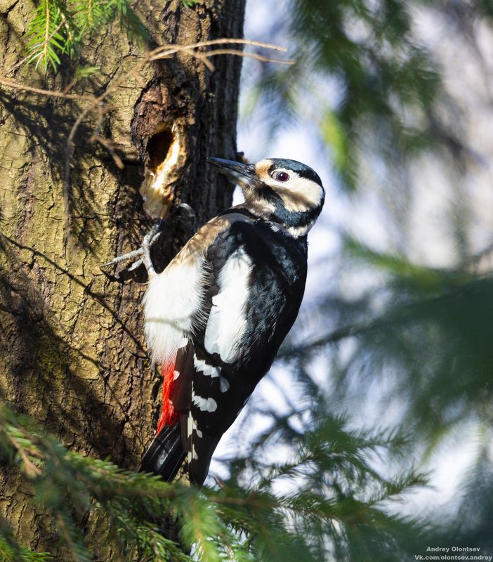 солнце, россия, рассвет, природа, подмосковье, погода, пейзажи, пейзаж, отражение, наукоград, красота, дубна, вода, весна, weather, water, spring, russia, reflection, naukograd, nature, moscow, landscape, dawn, canon, dubna, beauty *** фото превью