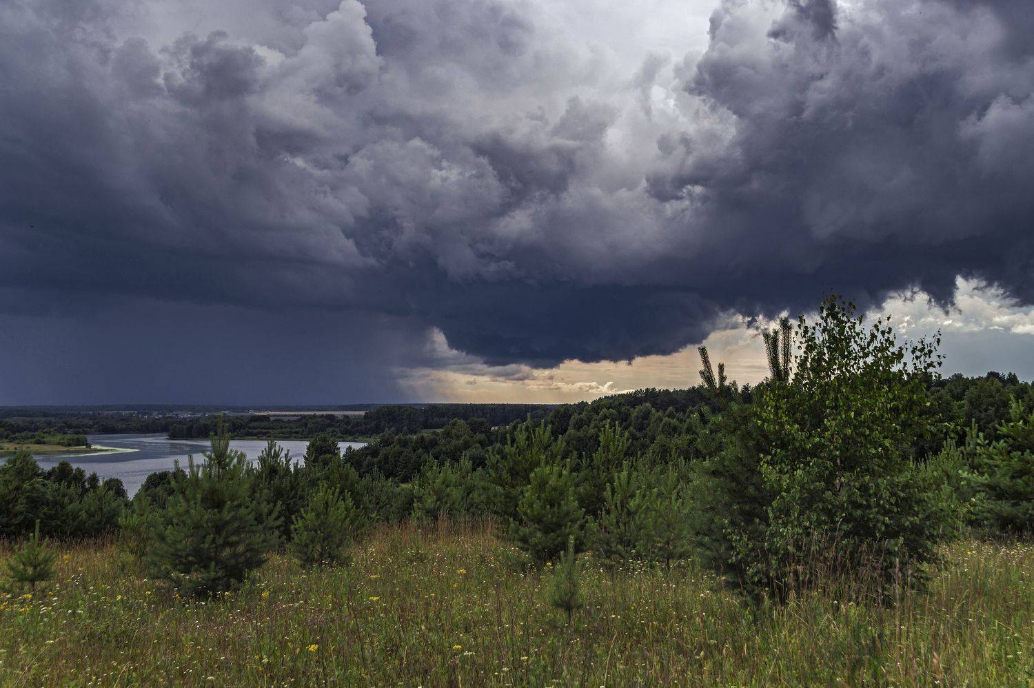 гроза., Шитов Александр