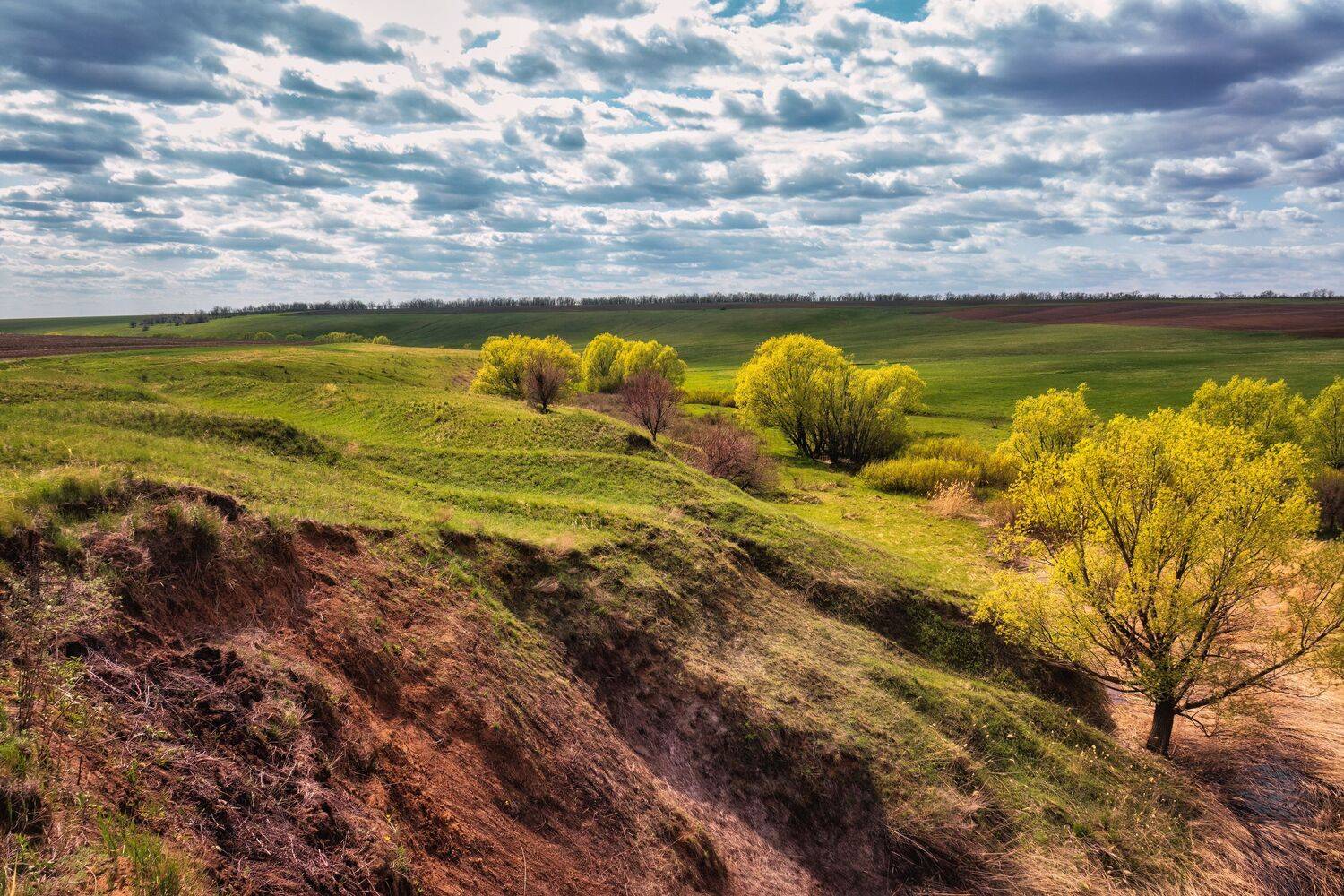 пейзаж, самарская область, природа, landscape, nature, Дудников Александр