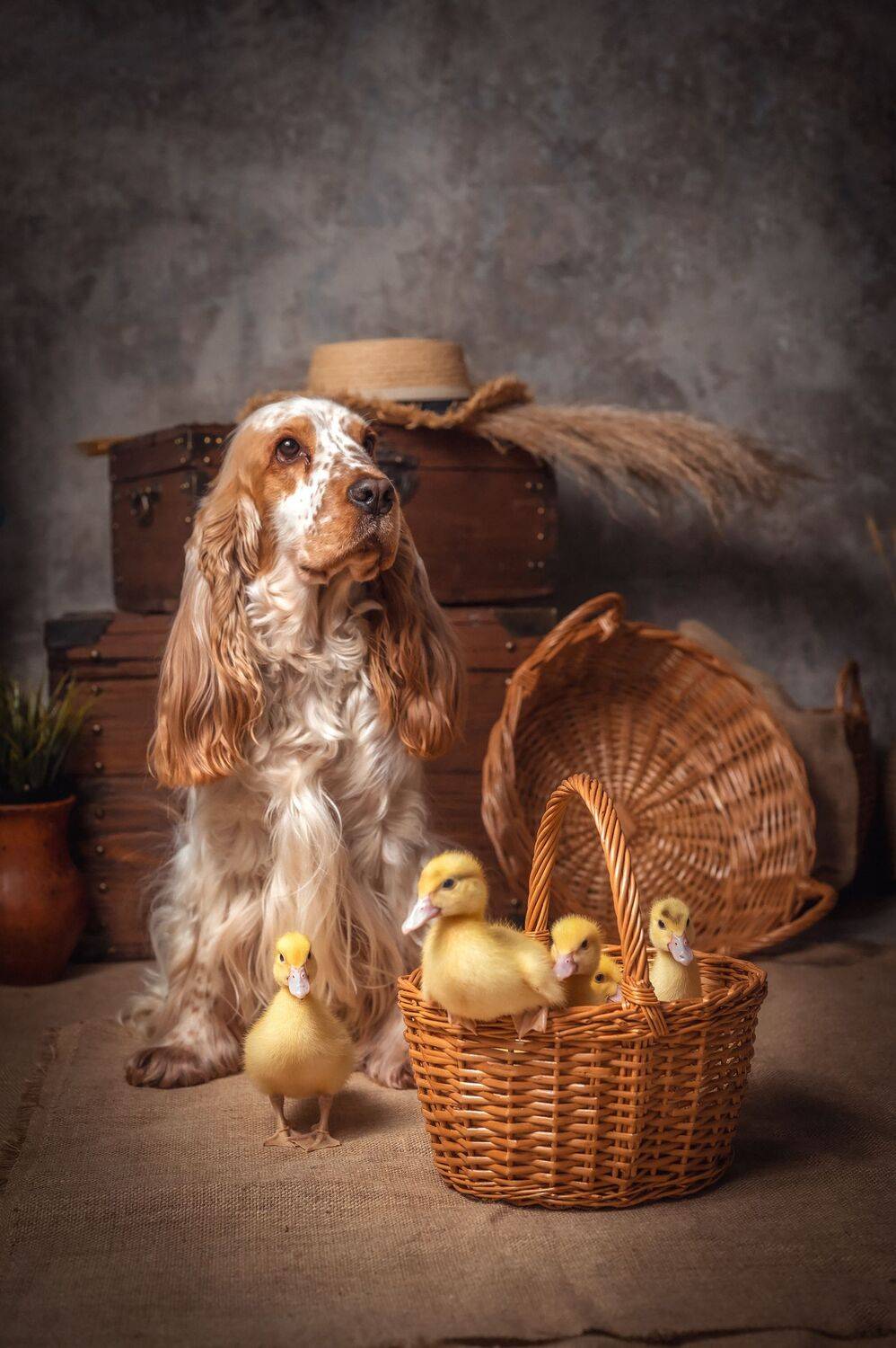 , Елена Савченкова