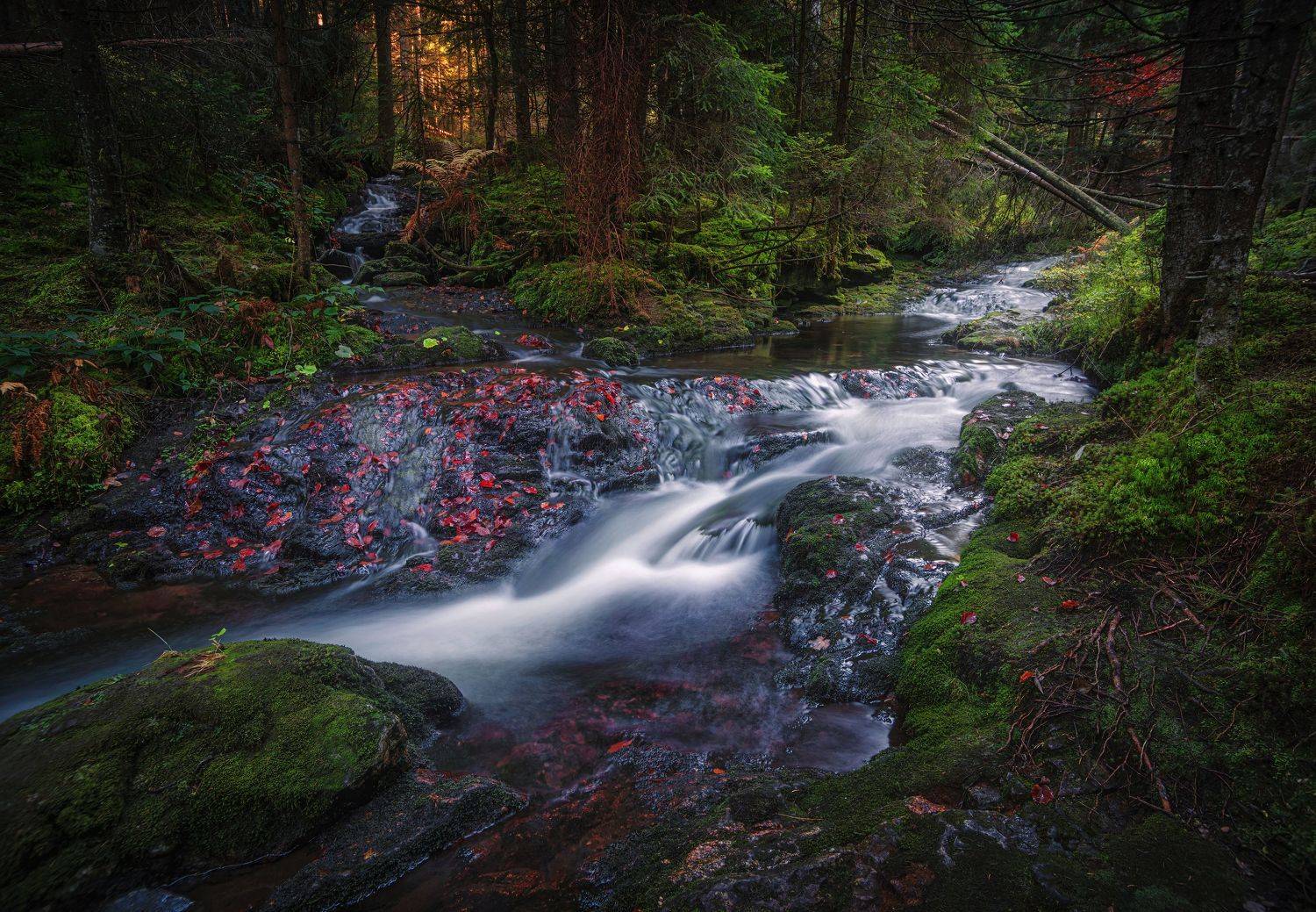 горизонтальный,  нет людей,  фотография,  на улице,  природа,  лес,  дерево,  ручей - проточная вода,  скала - объект,  вода,  пейзаж - пейзажи,  живопись - природа,  водопад,  река,  мох,, Ожерельев Андрей