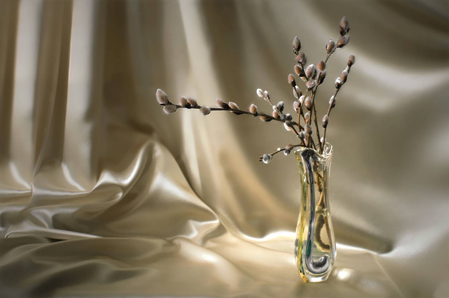 , Ольга Заболотская