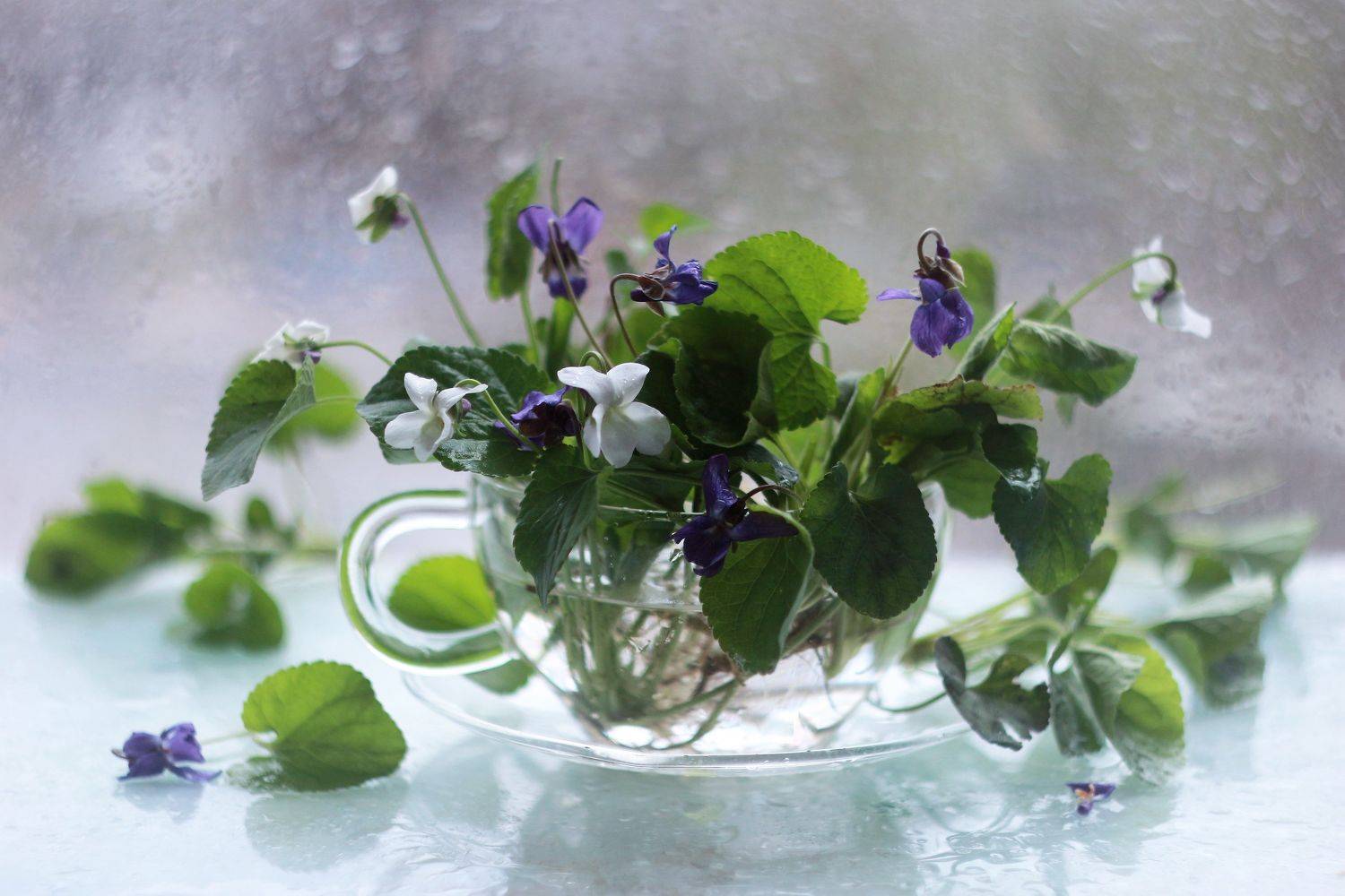 , Людмила Хрусталева*