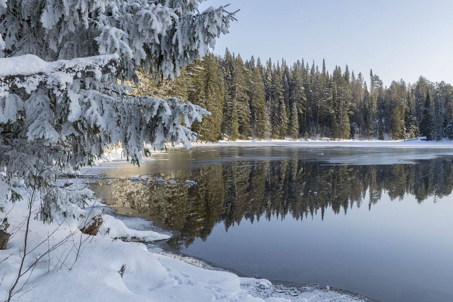, Галина Луценко