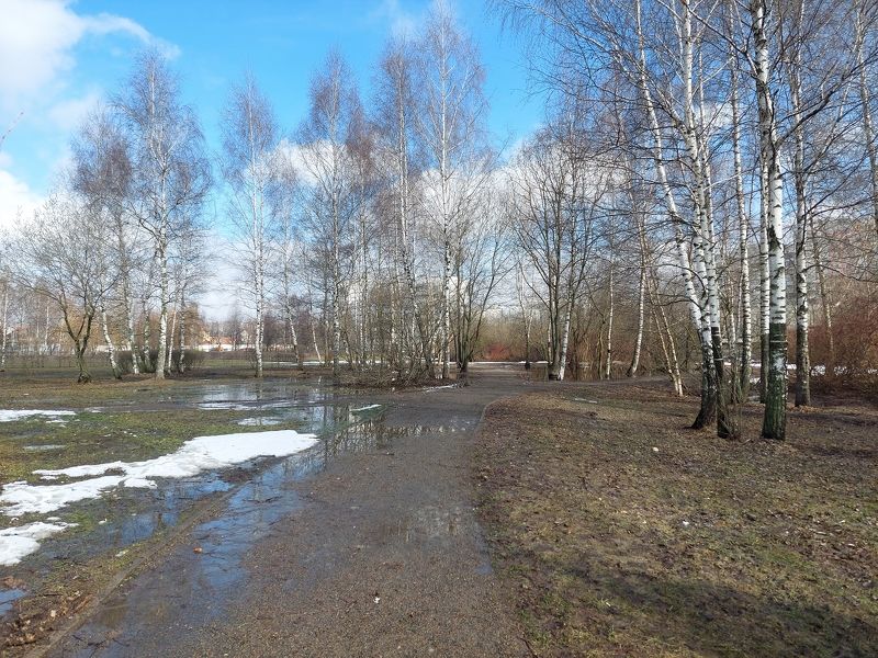 В апрельском парке фото превью