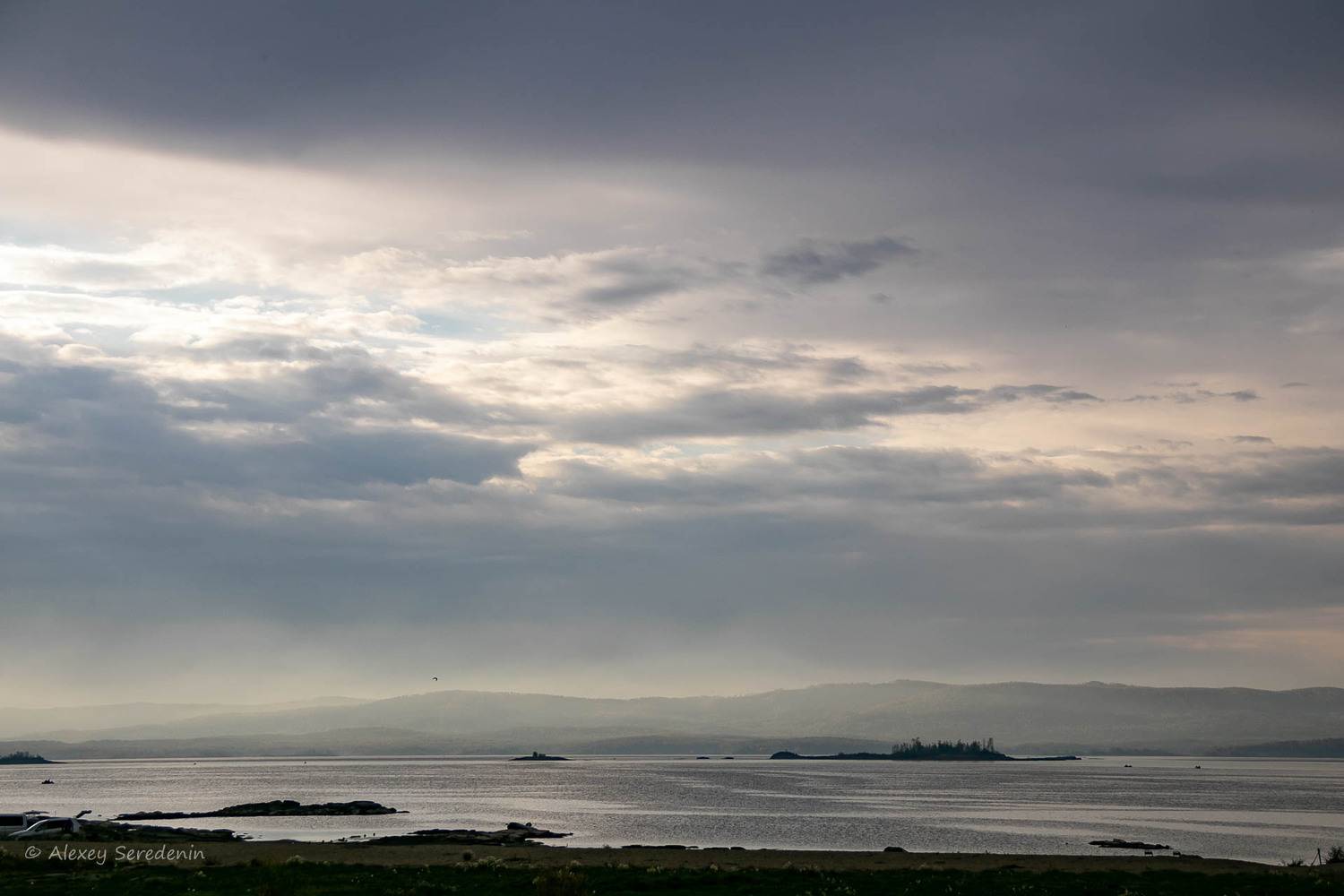 , Алексей Середенин