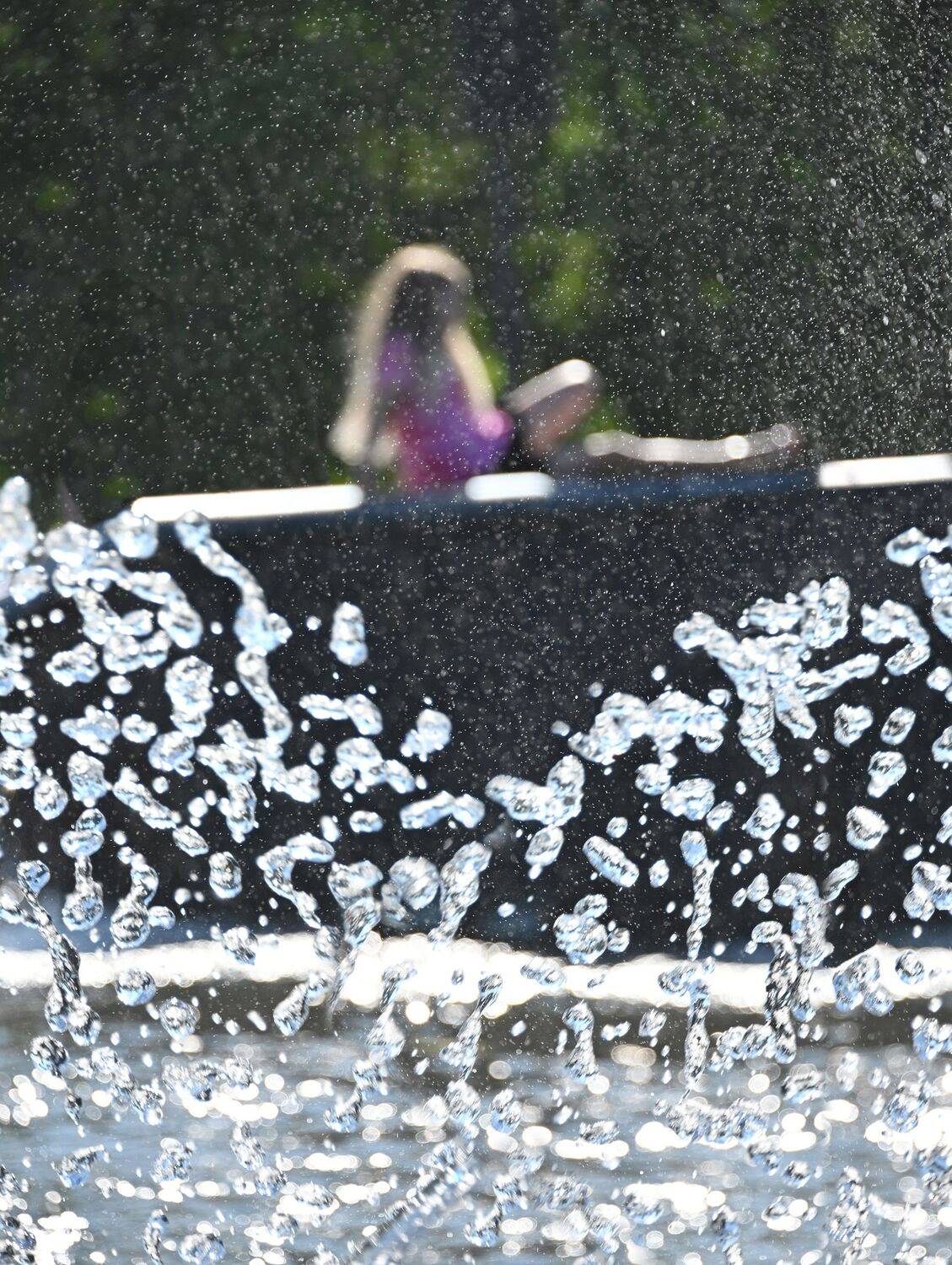 , Меднов Влад