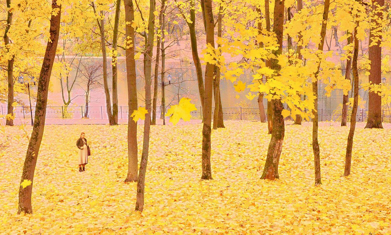 осень,парк, Хагалас Мириам