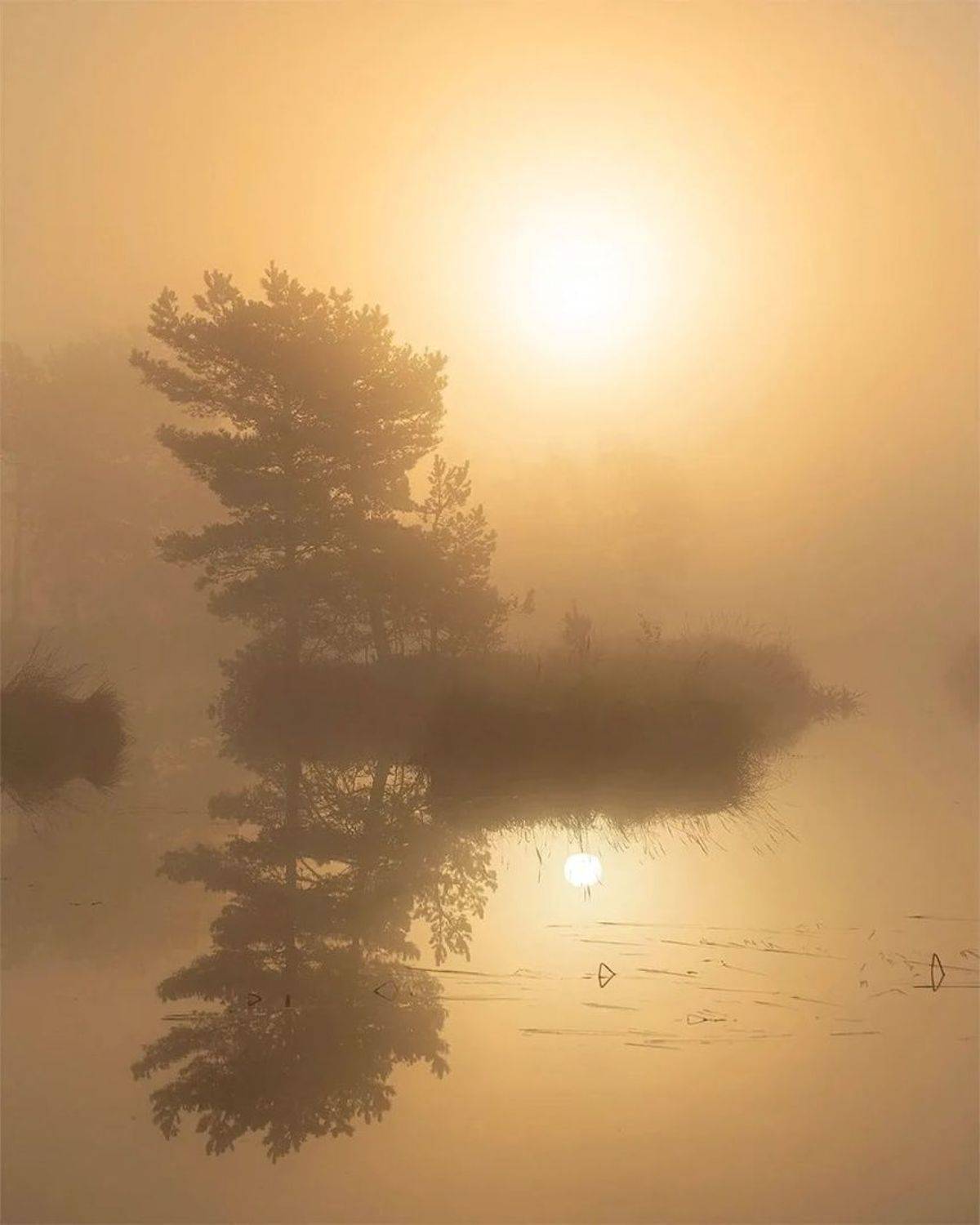 , Петр Косых