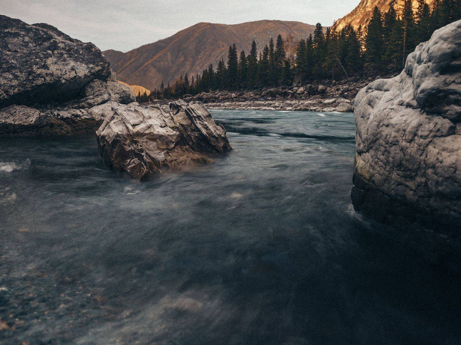 , Виктор Гагарин