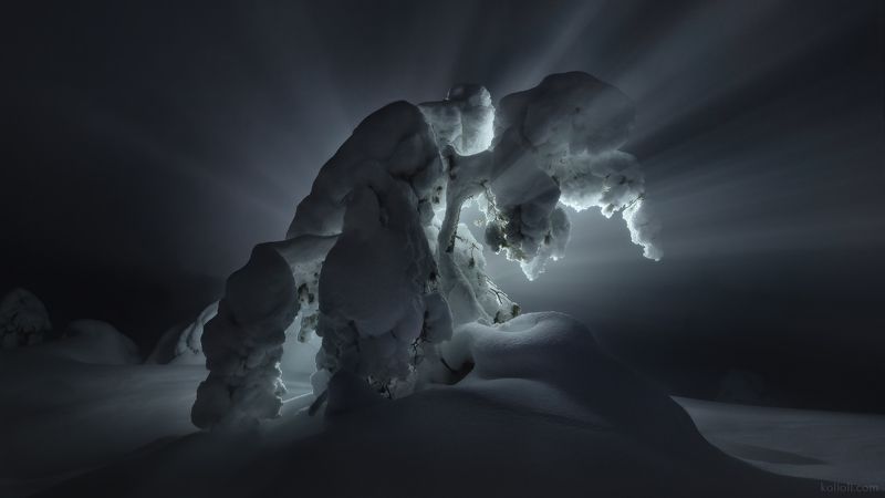 кандалакша, ночь, зима, заснеженные деревья, сопка, подсветка фонариком Нечто фото превью