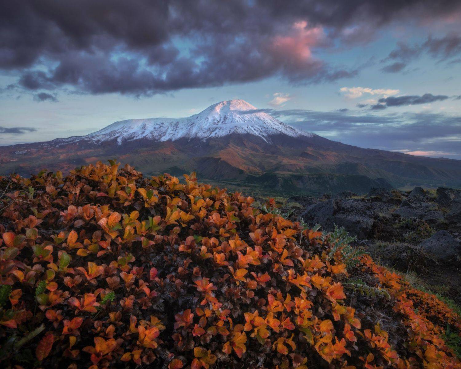 камчатка, Андрей Грачев