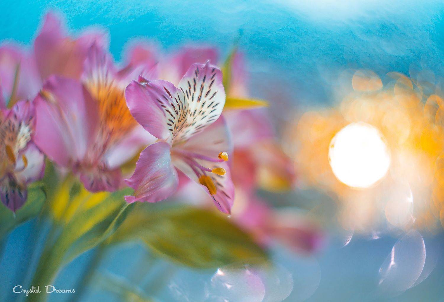 #art #macro #crystal_dreams #color #ditale, Татьяна Крылова