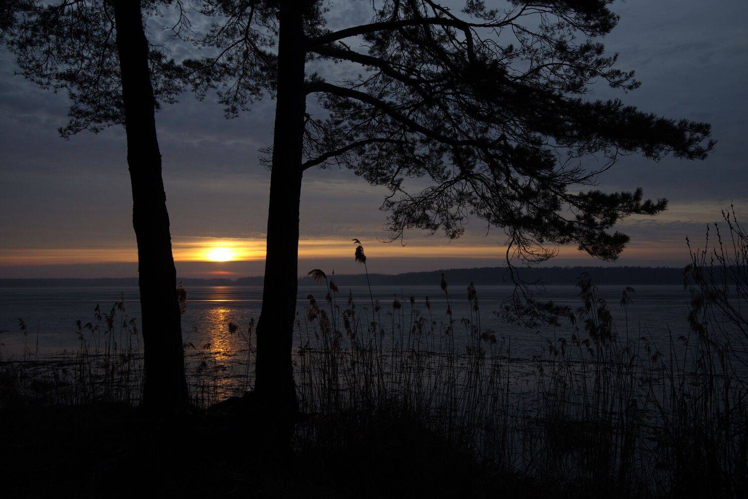 , Колосова Елена