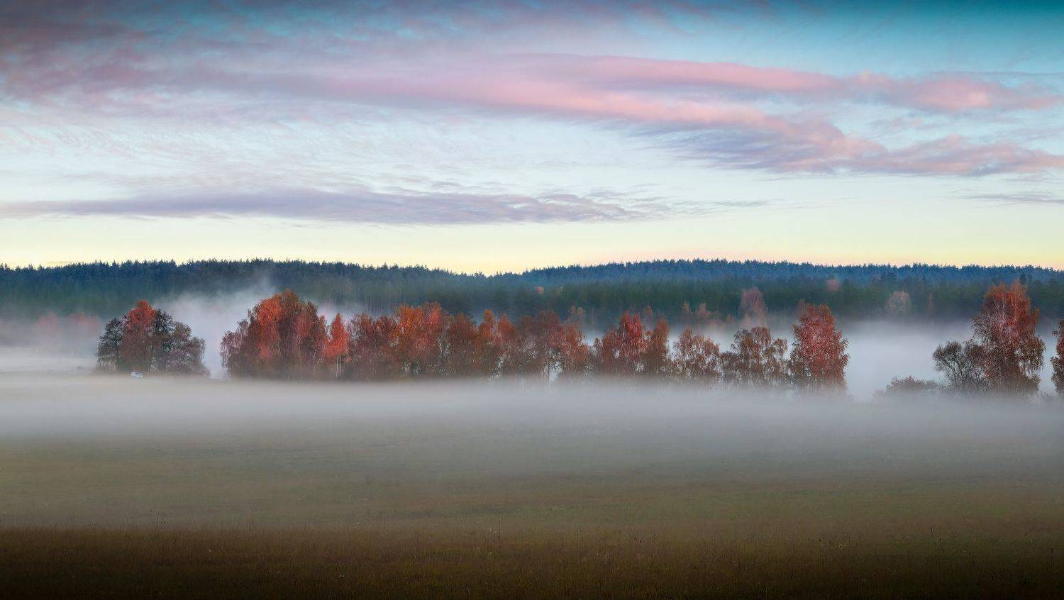 , Сергей Шабуневич