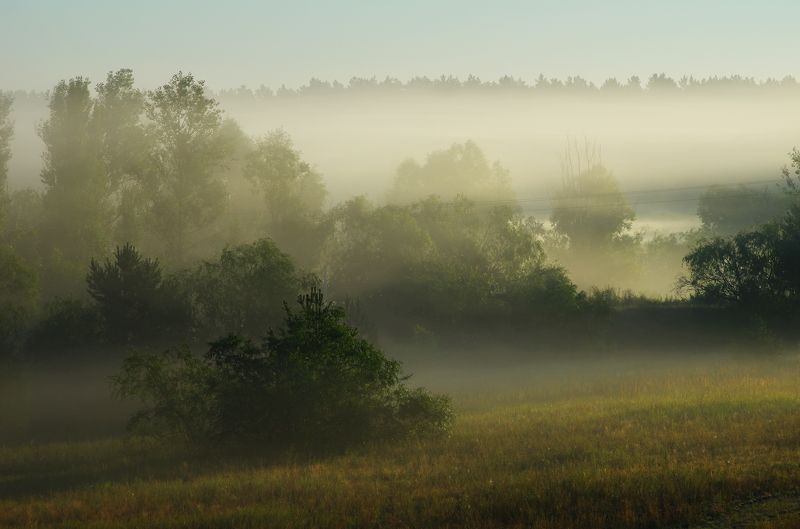 Утренний туман фото превью