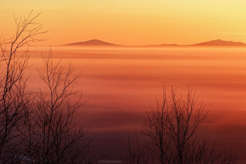 рассвет, утро, восход солнца, туман, горы, басеги, крестовая, губаха, пермский край, весна Золото рассвета фото превью