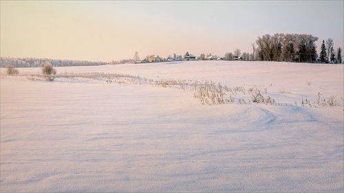 Весна в деревне...