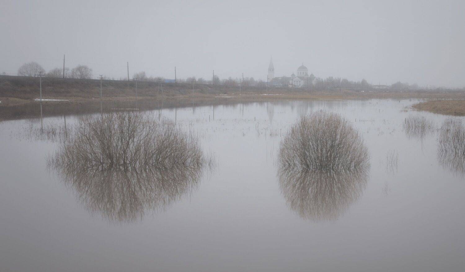 разлив кусты храм, Вера Петри