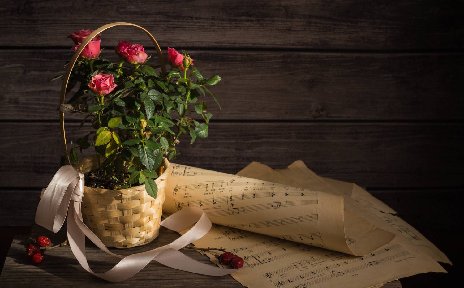 , Хвойнова Елена