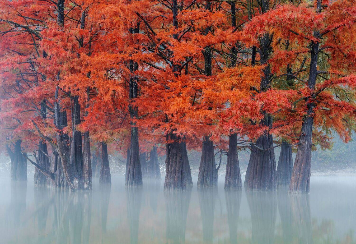 , Валерий Одинцов