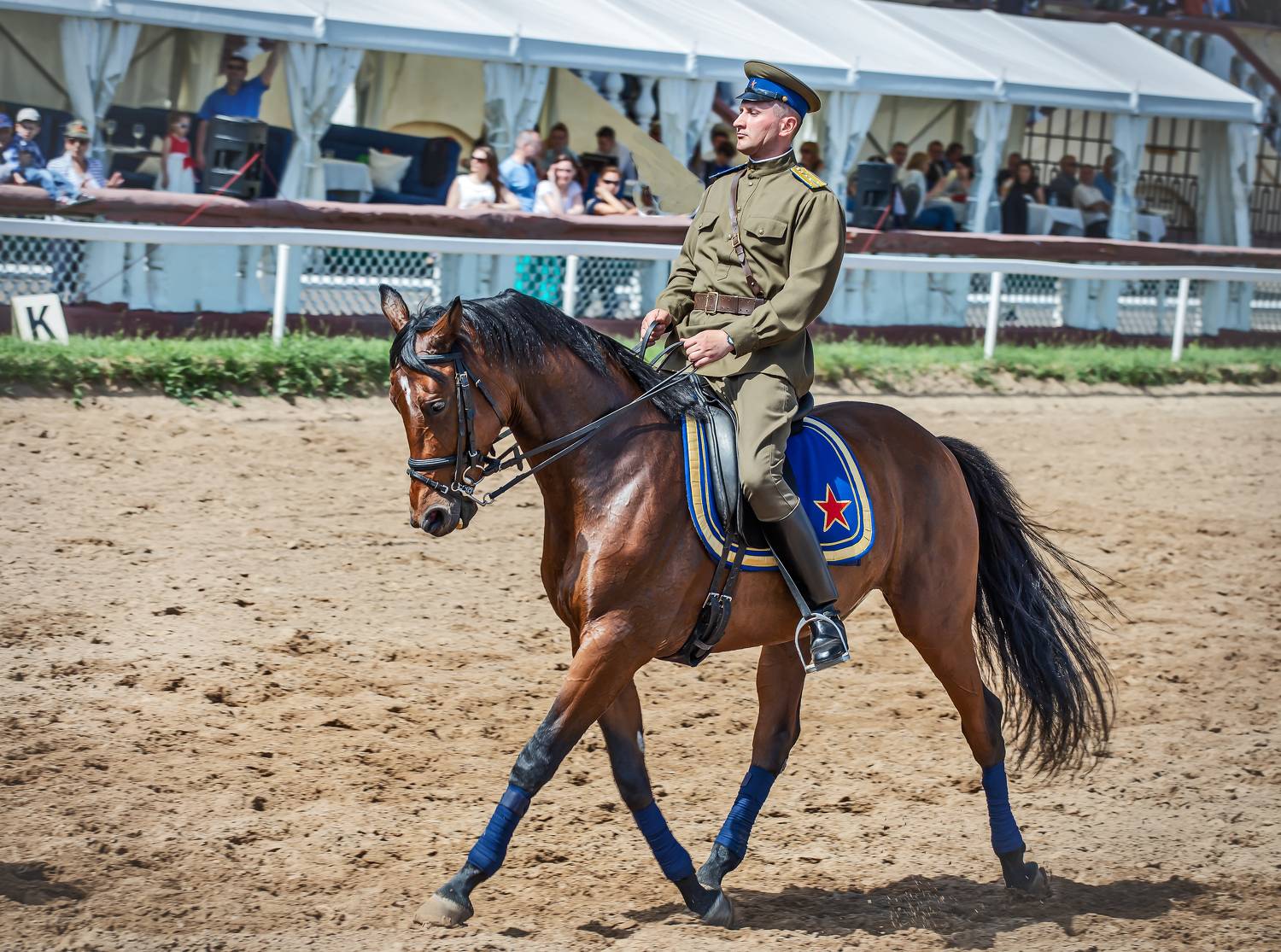 беговая. июнь., Бирюков Вячеслав