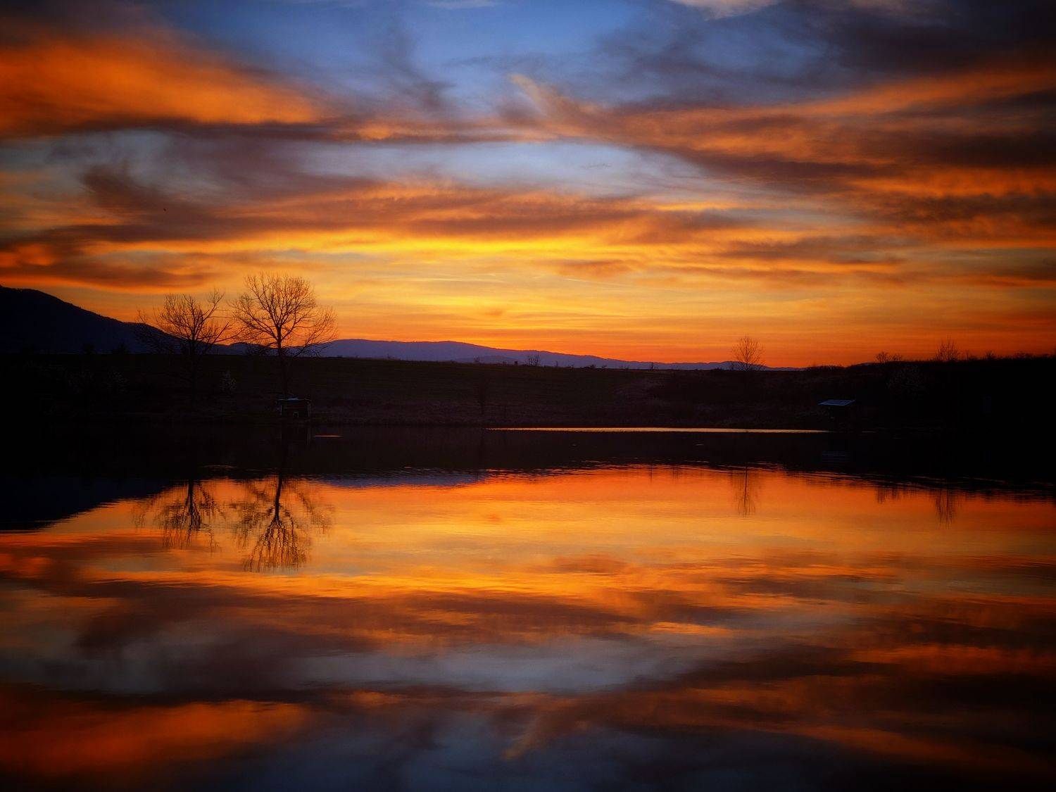 , Герчев Николай