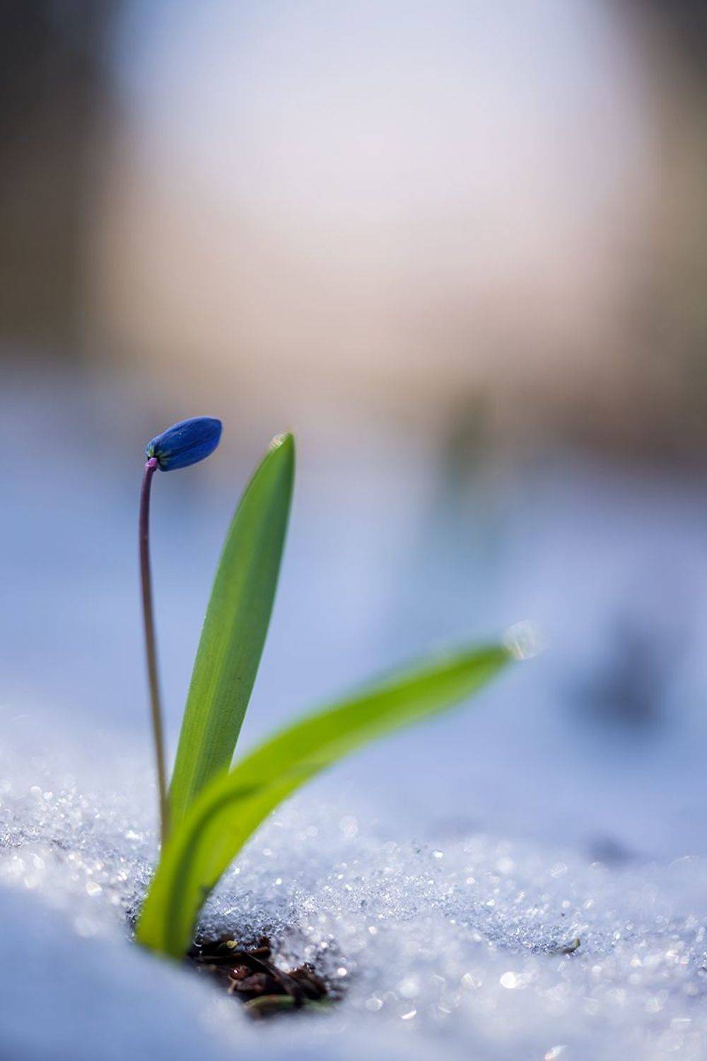 , Илья Михеев