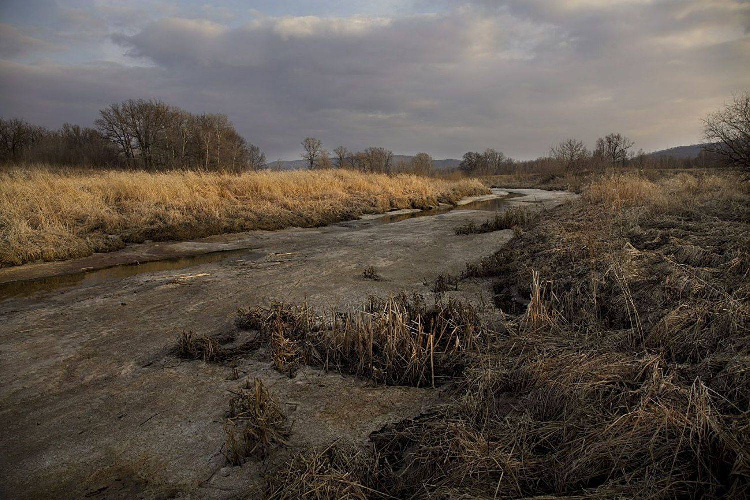 весна март, Виктор Кириллов