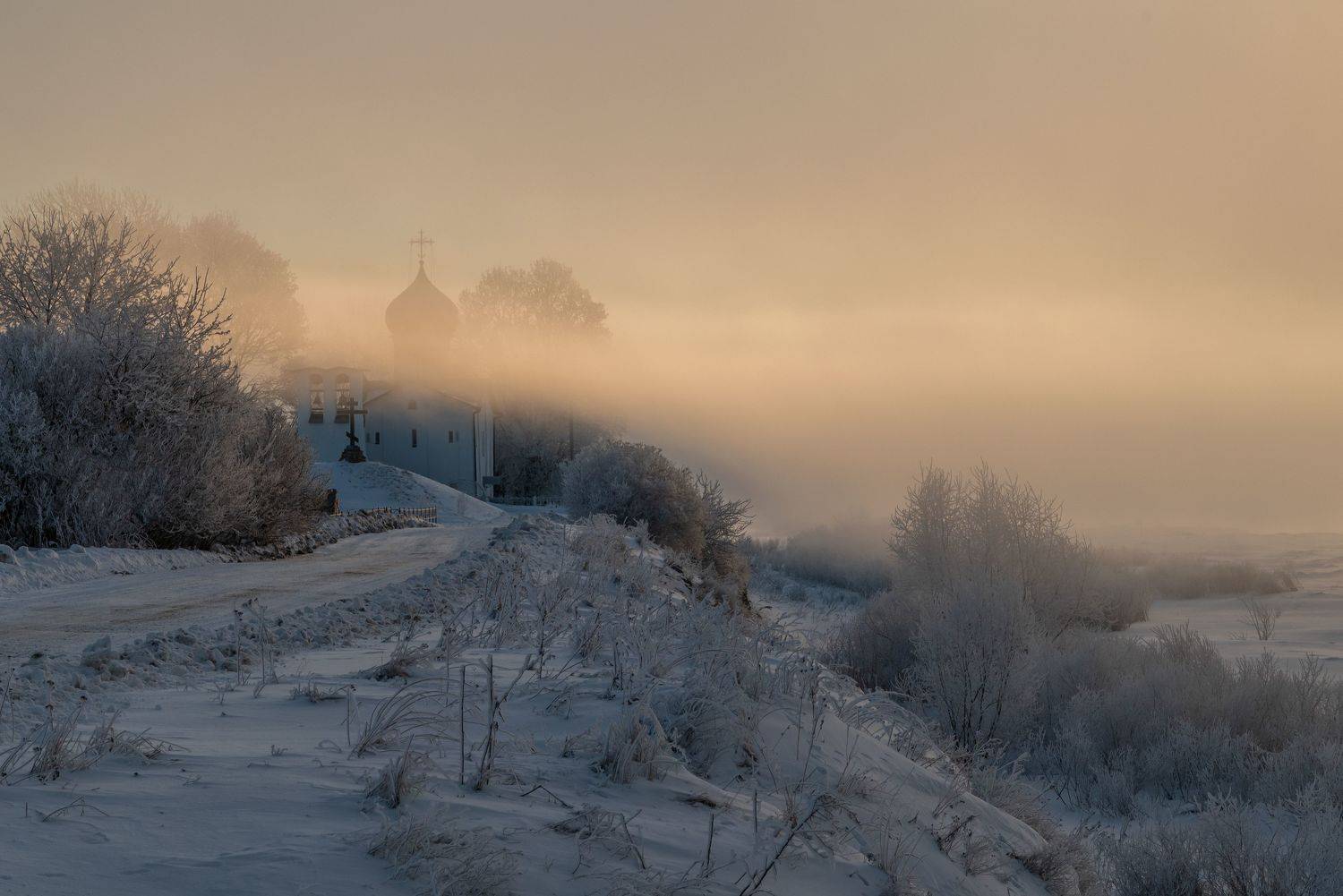 , Виктор Желенговский
