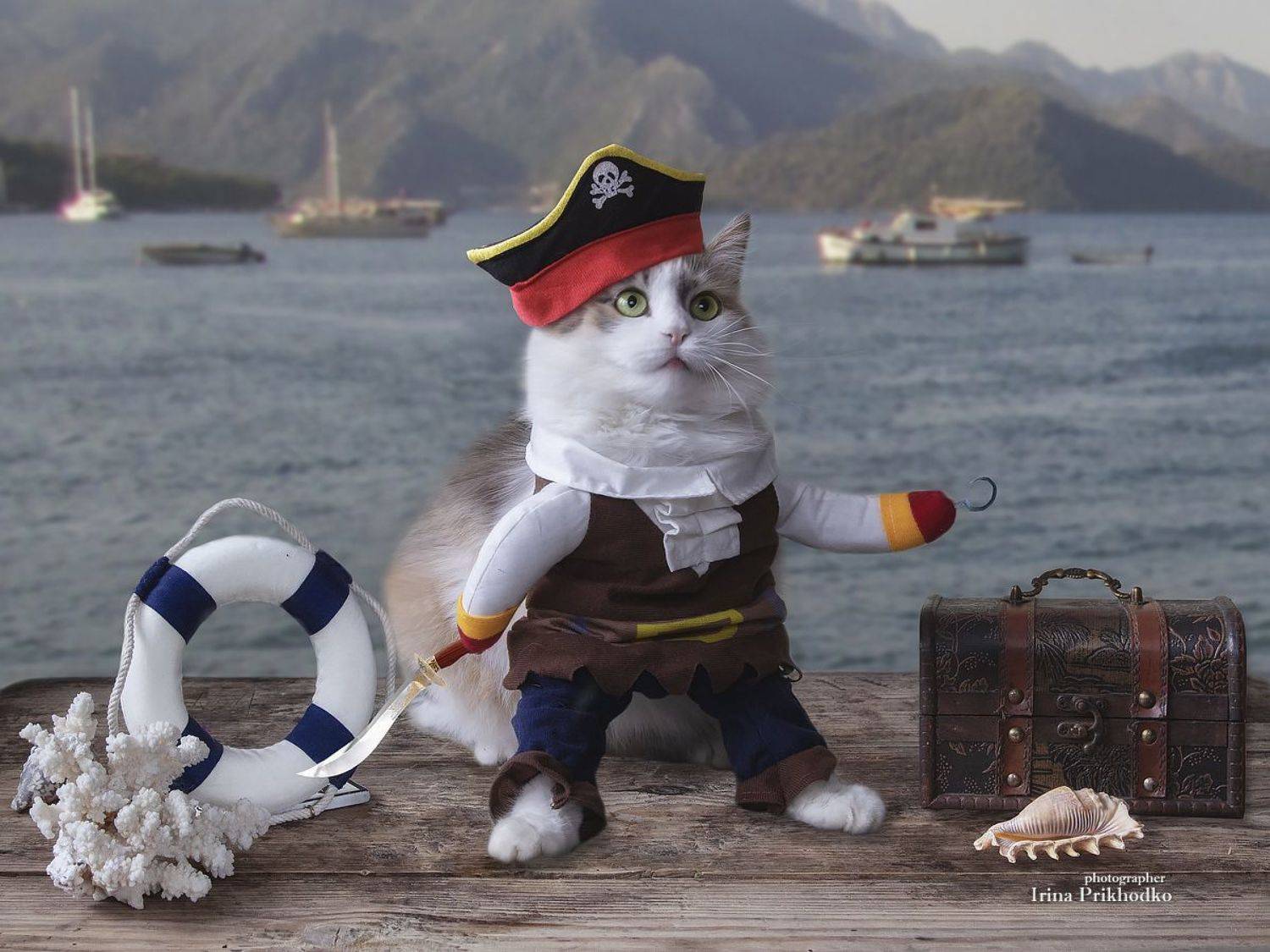 постановочное фото, котонатюрморт, марионетка, пират, кошка, морской берег, Приходько Ирина