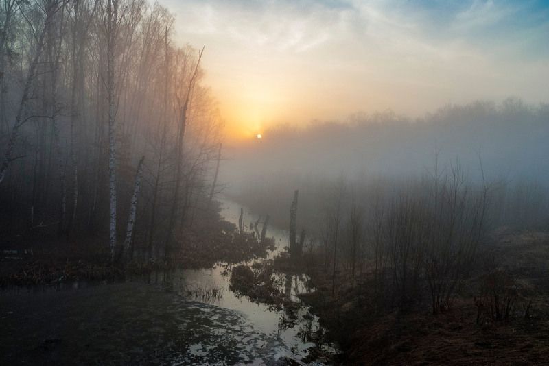 Весна фото превью